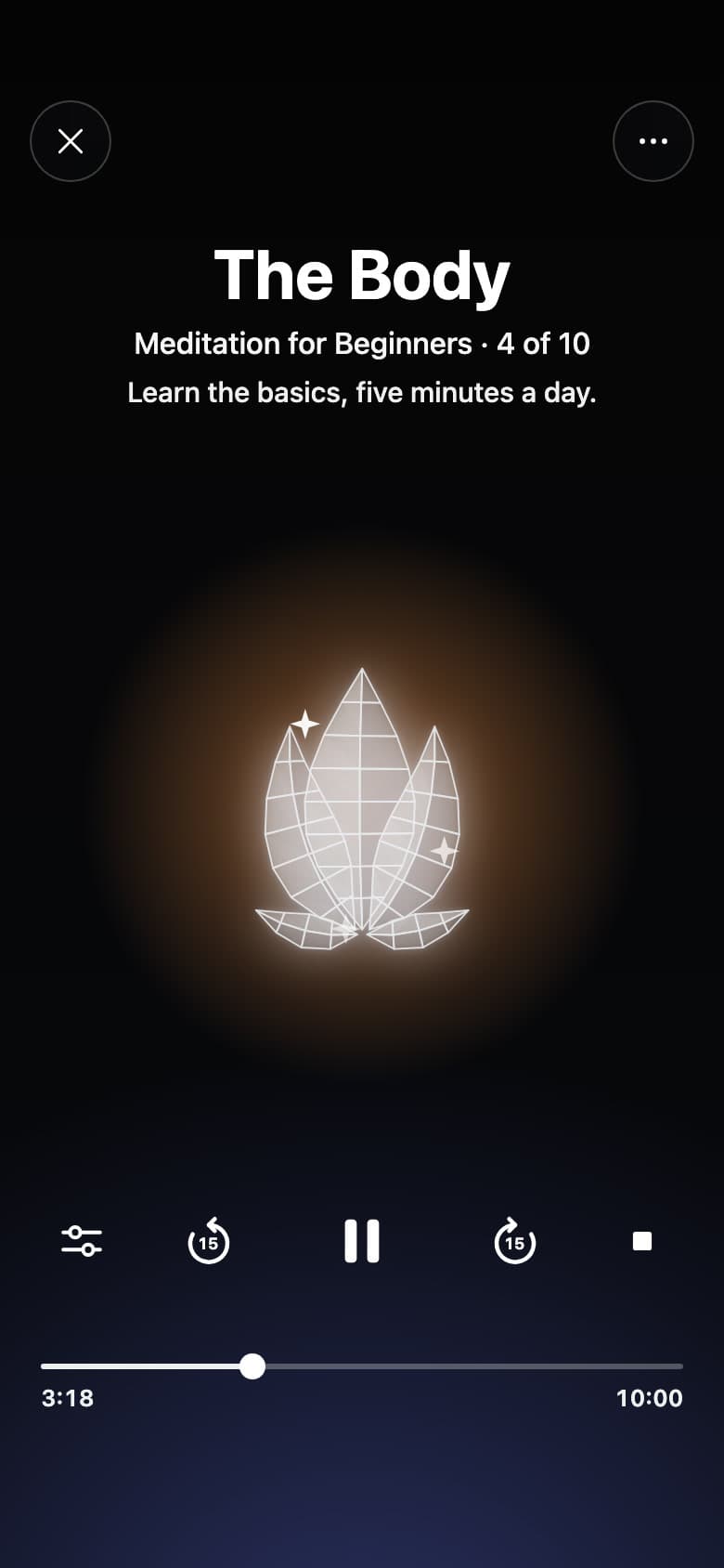 A guided session playing: The Body, session 4 of Meditation for Beginners, its lotus bud lit in the middle